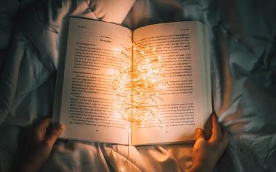 33 Books in 2019