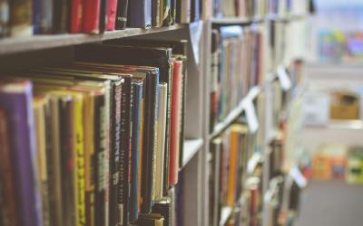 Ask AI: What is an Antilibrary?