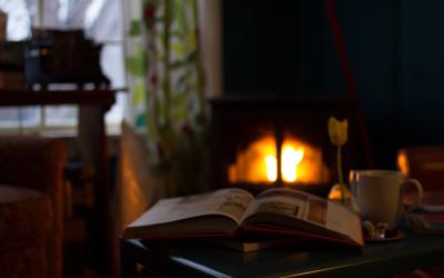 Book Reading Goal for 2017 (Update)