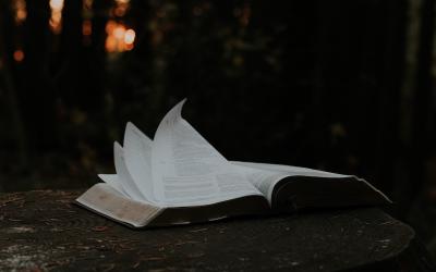 Book Reading Tips by Shane Parrish