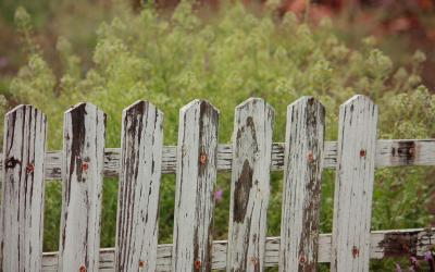 Decision-Making and Chesterton's Fence