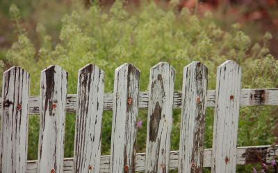 Decision-Making and Chesterton's Fence