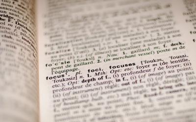 Did I do my best to...