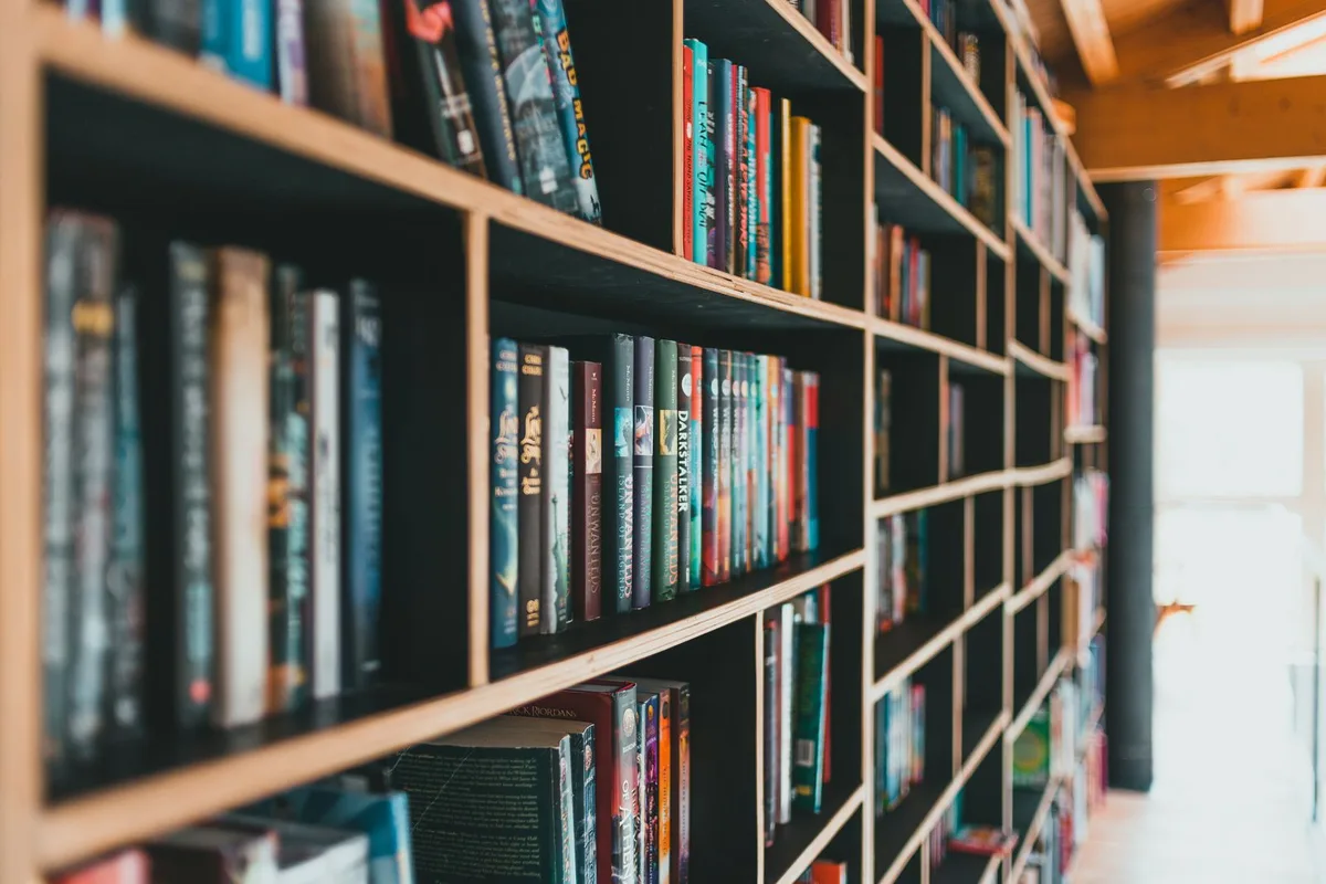Colorful books neatly arranged on modern shelves in a bright library