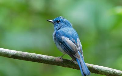 Why Twitter's firings are justified