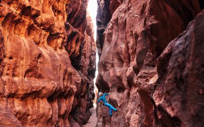 Get up and try again