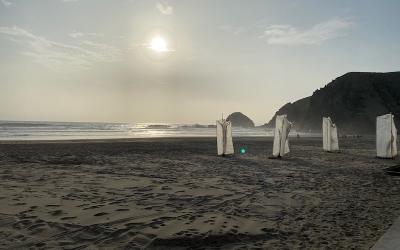 Gratitude is a Habit