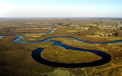 Proprietor of the audience and customers