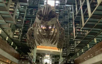 Librarians Without Libraries