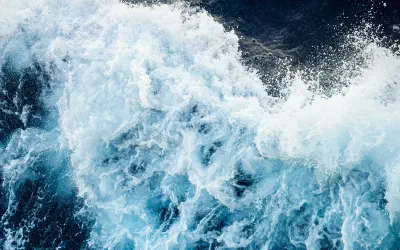 What does it mean that our data is used to improve model performance?