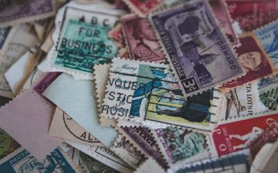 Ponzi Schemes and Short-Term Thinking