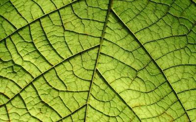 Problem Solving Skills for the Future