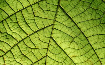 Problem Solving Skills for the Future