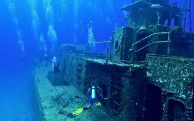 Sunk Costs and Decision Making