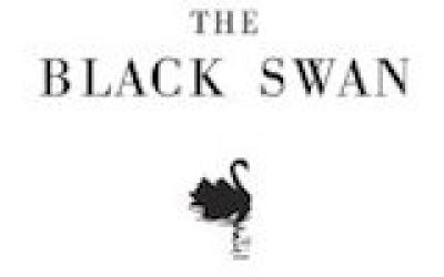 The Black Swan: The Impact of the Highly Improbable, by Nassim N. Taleb