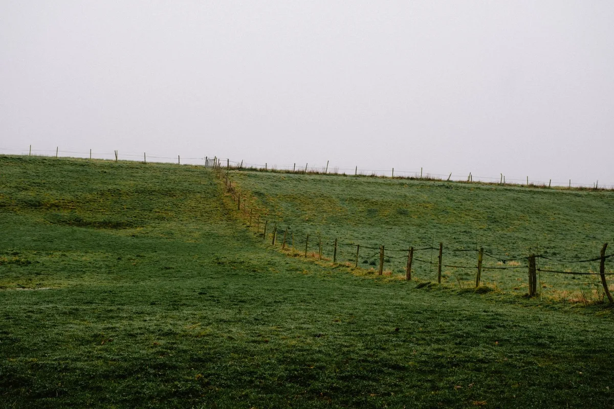 Green pasture and wooden fence under a cloudy sky