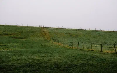 The grass is greener...