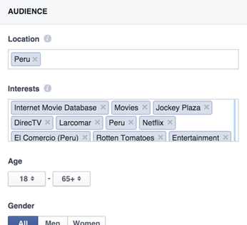 Facebook Ad Configuration