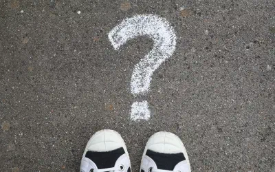 What questions are you seeking to answer?